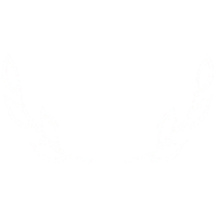  Guanajuato International Film Festival (Mexico), 2022