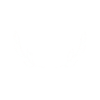 BEST VR / Guanajuato International Film Festival (Mexico), 2019 award logo